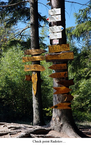 Brumovská 50 - 2007