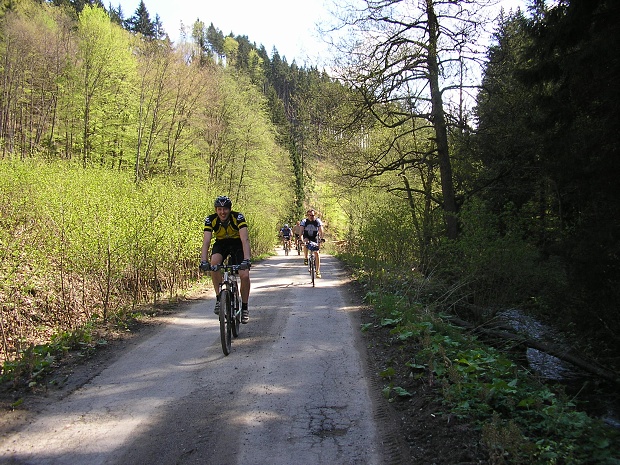 Lednica, Zubák 2009