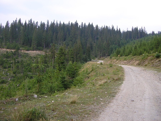 Rumunsko, Ukrajina 2007