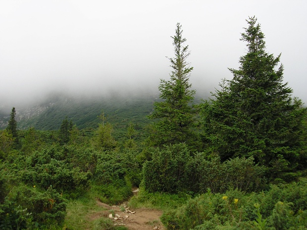 Rumunsko, Ukrajina 2007